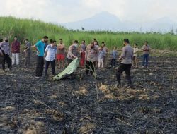 Warga Kudus Meninggal di Lahan Tebu