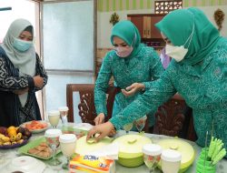 Implementasi Program Hatinya PKK, Rumah Sehat kembali Ditinjau