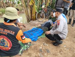 Seorang Petani di Kudus Meninggal di Sawah, Berikut Kronologinya