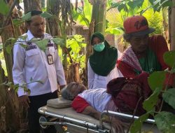 Camat Kaliwungu Kudus, Bantu Nenek Sebatang Kara Yang Tinggal di Gubuk Reot
