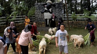 Spot Baru! Taman Domba di Wisata Pijar Park Siap Meriahkan Libur Akhir Tahun, Tiket Paket Cuma Rp15 Ribu