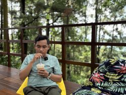 Cafe Taman Pijar Park Kudus Bikin Betah, Ngopi di Tengah Hutan Pinus dengan Suasana Adem