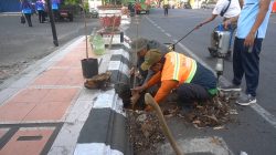 Tuai Sorotan Warganet, Bupati Kudus Pastikan Evaluasi Penempatan Pohon di Area Rambu Jalan Ahmad Yani