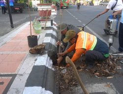 Tuai Sorotan Warganet, Bupati Kudus Pastikan Evaluasi Penempatan Pohon di Area Rambu Jalan Ahmad Yani